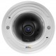 AXIS P3346