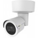 AXIS M2026-LE